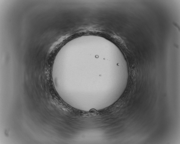 X0000103151159200809121810