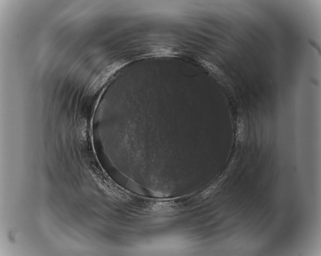 X0000103151161200809121810