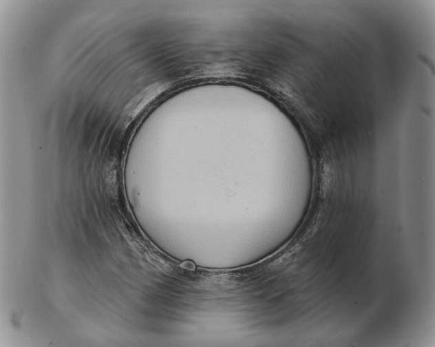 X0000103151162200809121810