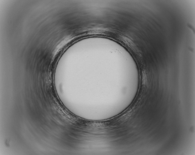 X0000103151164200809121810