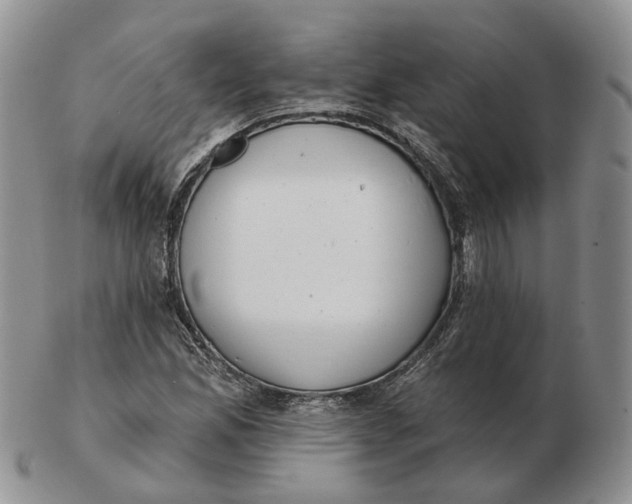 X0000103151165200809121810