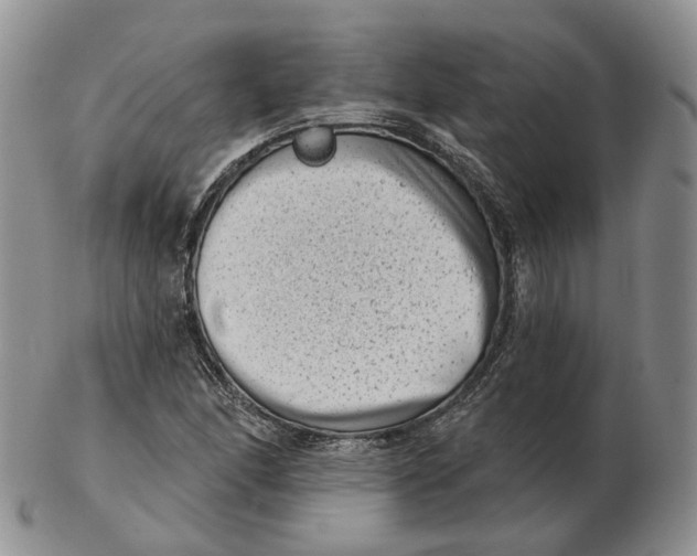 X0000103151166200809121810