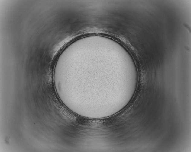 X0000103151167200809121810