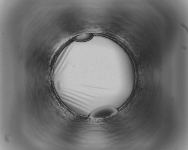 X0000103151168200809121810