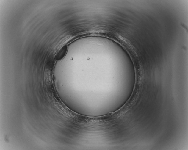 X0000103151169200809121810