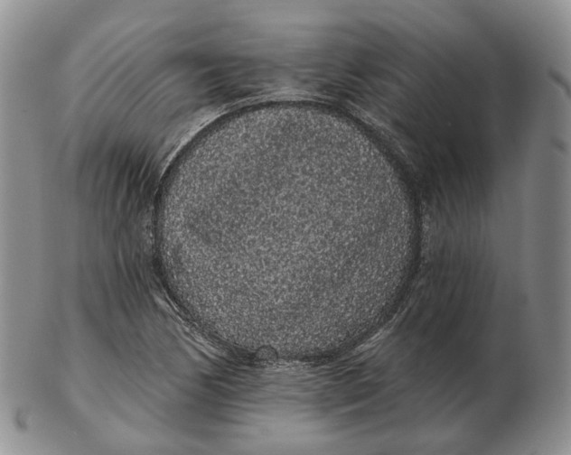 X0000103151170200809121810