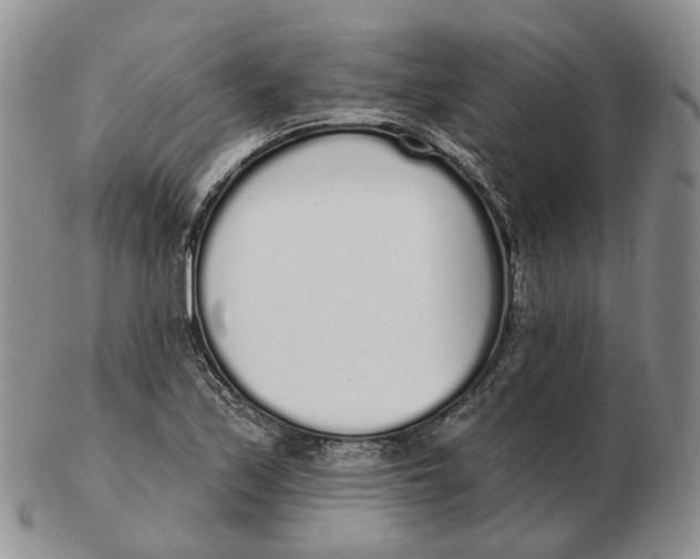 X0000103151171200809121809