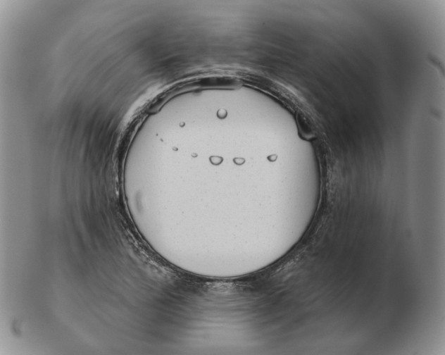 X0000103151172200809121809