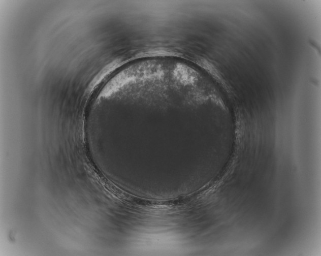 X0000103151173200809121809