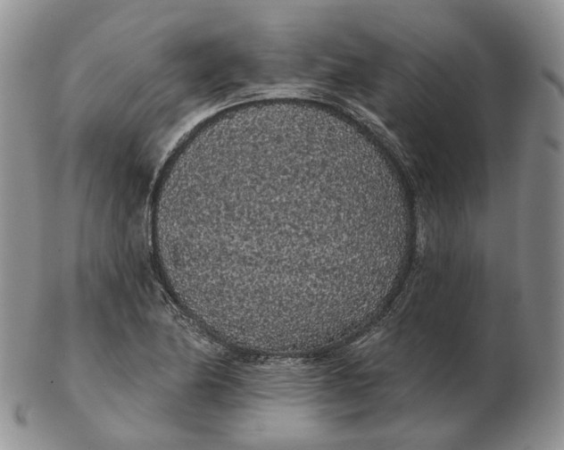 X0000103151174200809121809