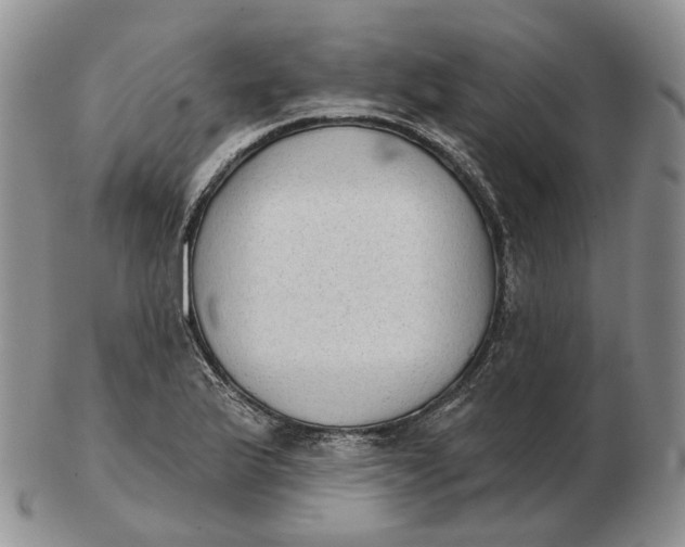 X0000103151175200809121809