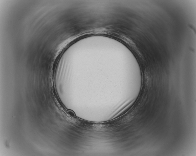 X0000103151176200809121809