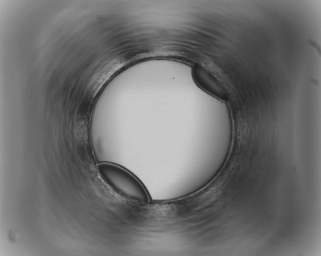 X0000103151177200809121809