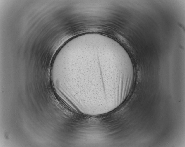 X0000103151178200809121809