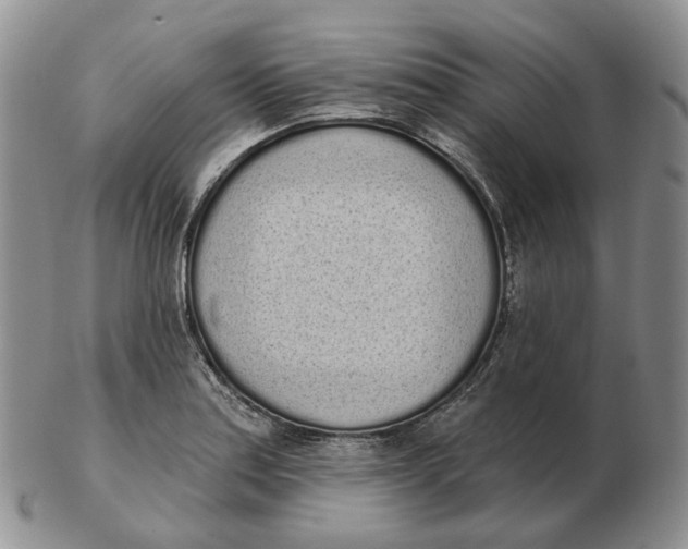 X0000103151179200809121809