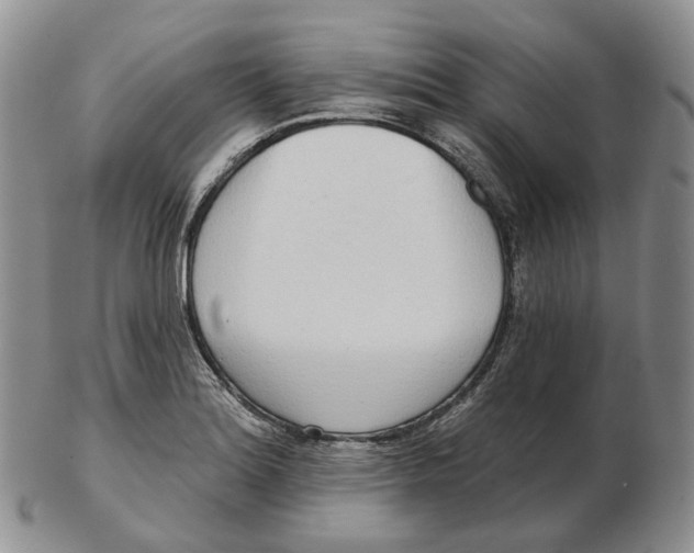 X0000103151180200809121809