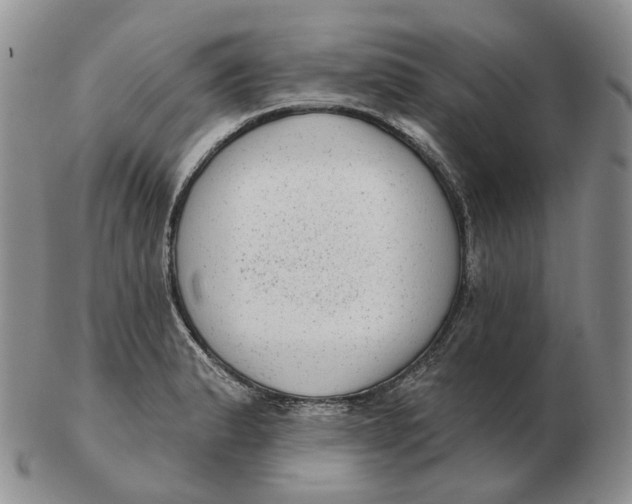 X0000103151183200809121809