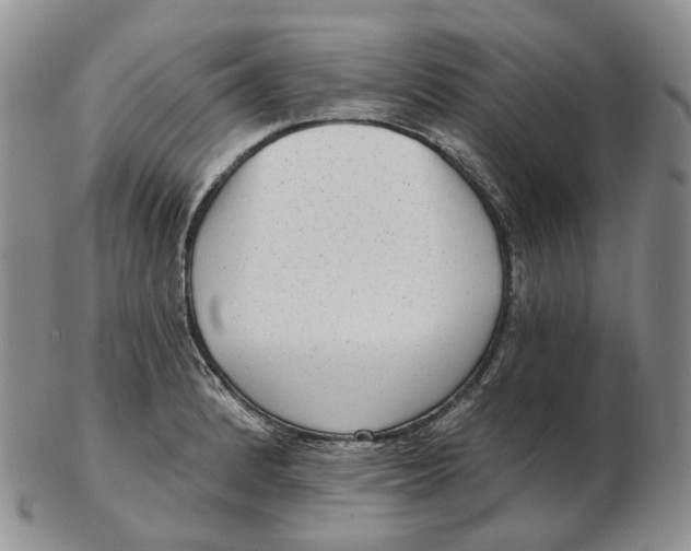 X0000103151184200809121809