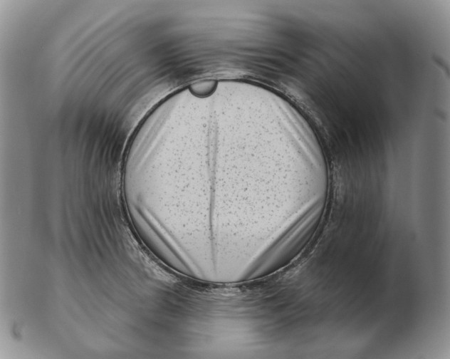 X0000103151186200809121809