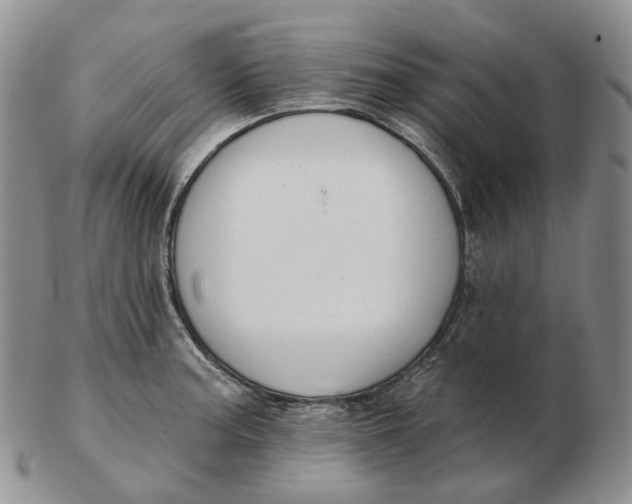 X0000103151187200809121809