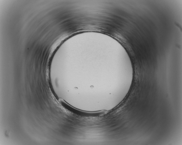 X0000103151188200809121809