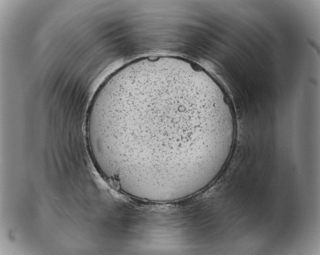 X0000103151189200809121809