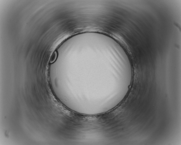 X0000103151190200809121809