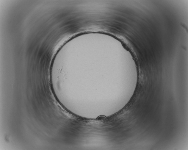 X0000103151191200809121809