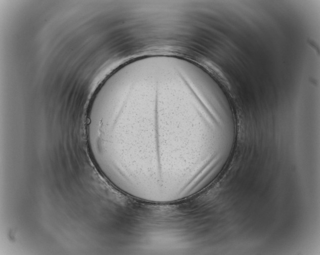 X0000103151192200809121809