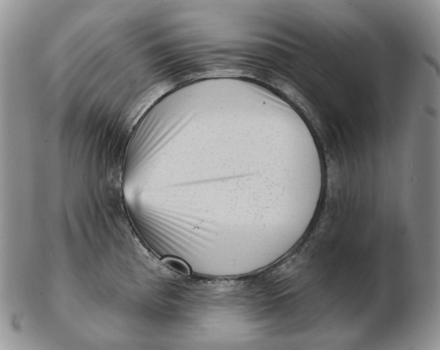 X0000103151193200809121809