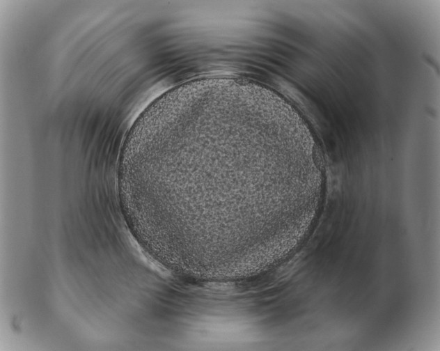 X0000103151194200809121809