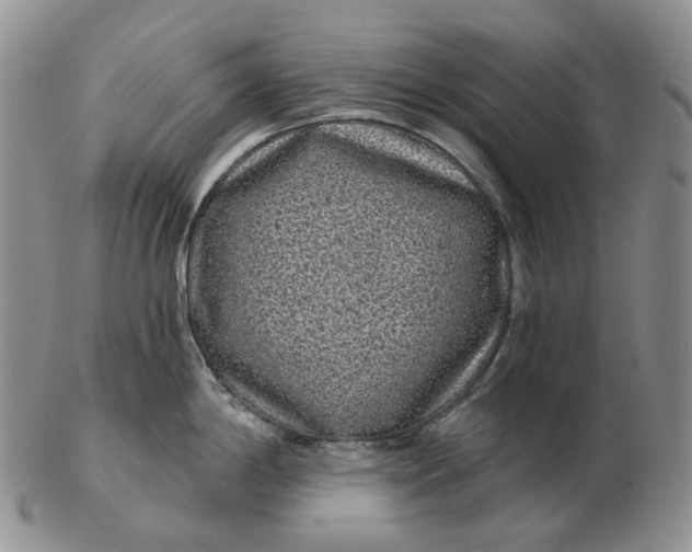 X0000103151198200809121809