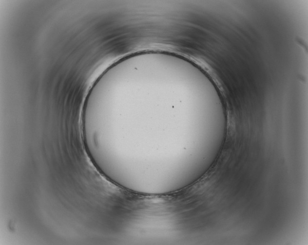 X0000103151199200809121809