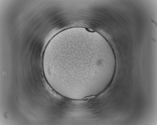 X0000103151200200809121809