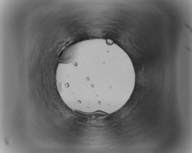 X0000103151201200809121808