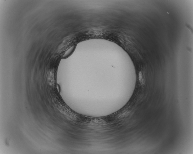 X0000103151203200809121808