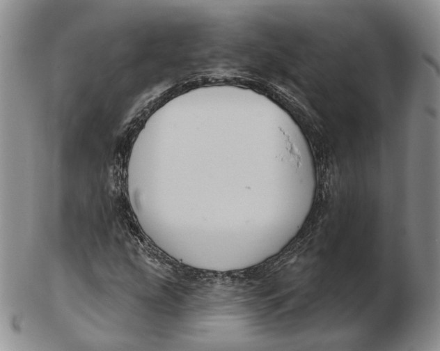 X0000103151207200809121808