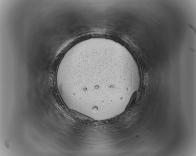 X0000103151208200809121809