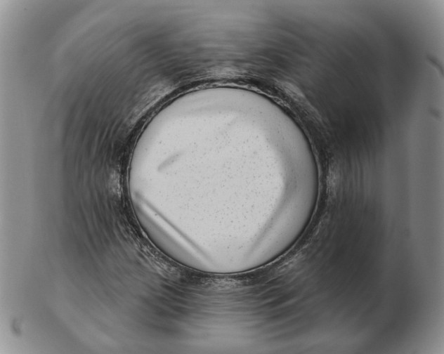 X0000103151209200809121809