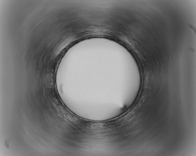 X0000103151211200809121809