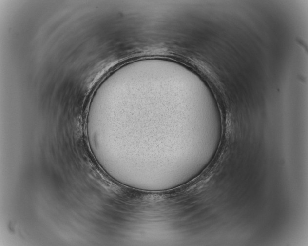 X0000103151212200809121809