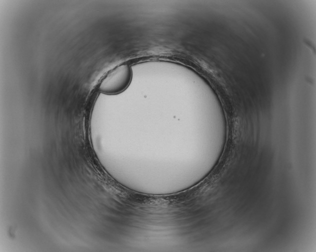 X0000103151214200809121809