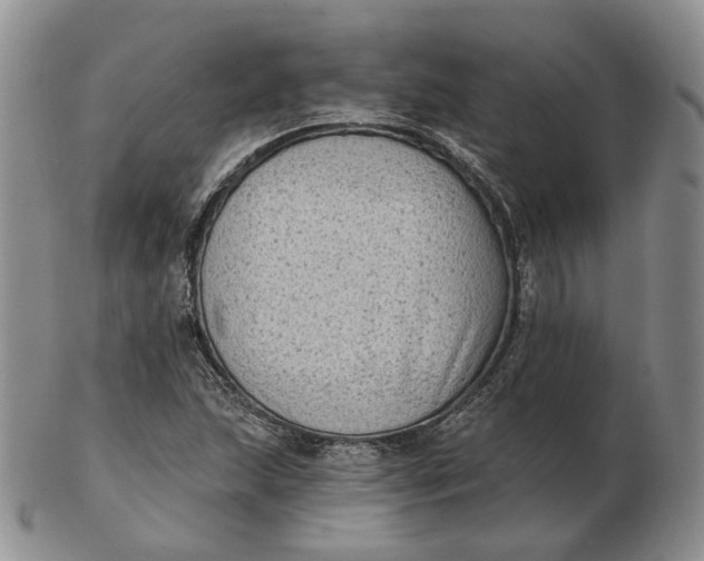 X0000103151215200809121809