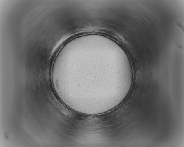 X0000103151216200809121809