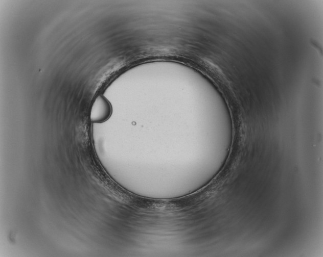 X0000103151218200809121809