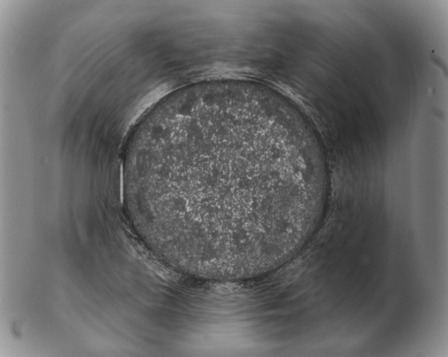 X0000103151219200809121809