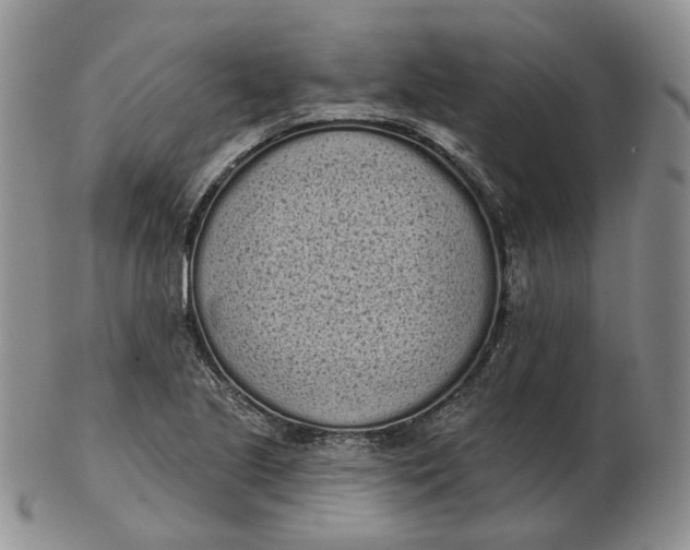 X0000103151221200809121809