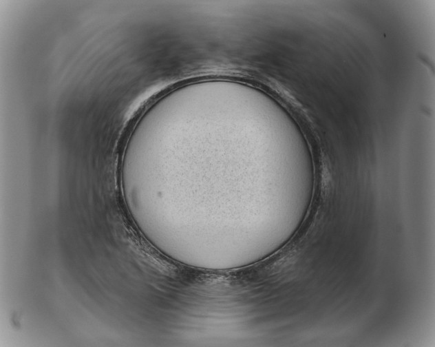 X0000103151222200809121809