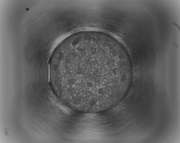 X0000103151223200809121809