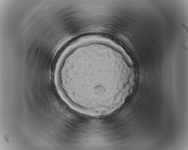 X0000103151226200809121809